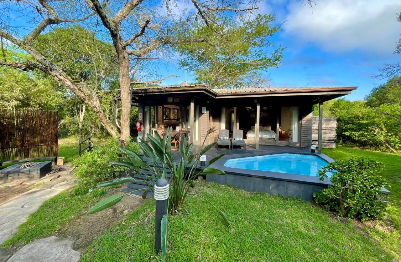 Imani Bush House & Silver Sky Chalet Hluhluwe Eksteriør billede